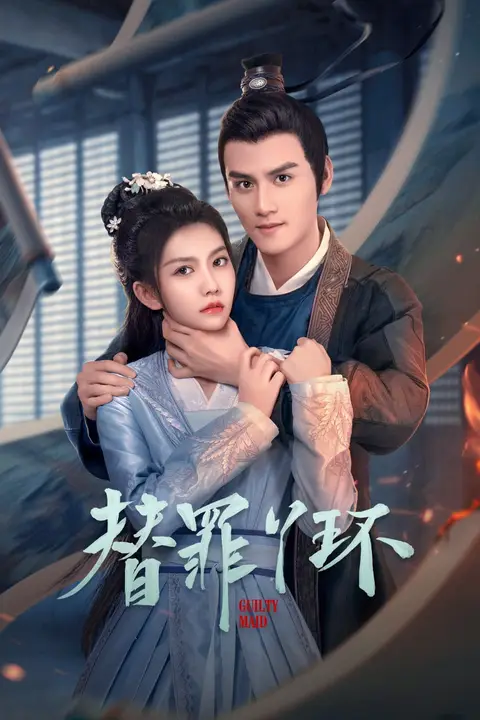 《替罪丫环》封面