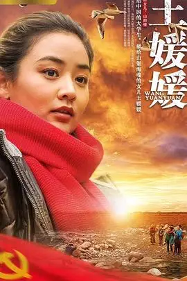 《王媛媛》封面