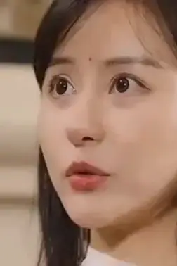 《继承者的荣耀》封面