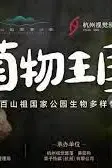 《菌物王国》封面