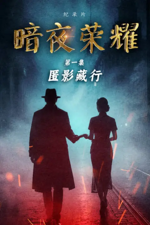 《暗夜荣耀》封面