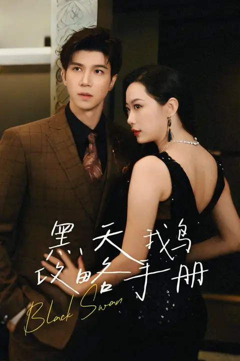 《黑天鹅攻略手册》封面