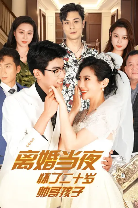 《离婚当夜怀了二十岁帅哥》封面