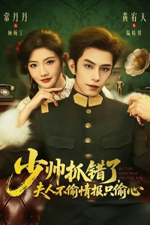 《少帅抓错了，夫人不偷情报只偷心》封面
