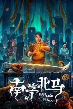 《南茅北马》封面