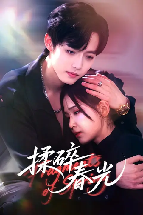 《揉碎春光》封面