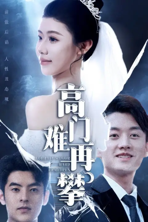 《高门难再攀》封面
