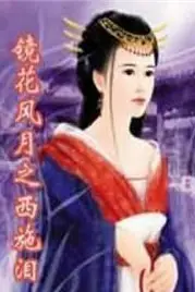 《镜花风月之西施泪》封面