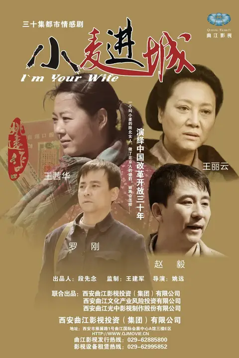 《小麦进城》封面