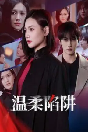 《温柔陷阱》封面