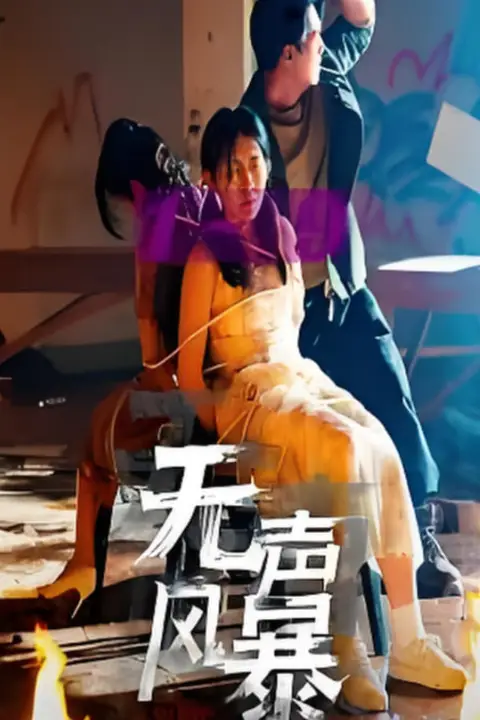 《无声风暴》封面