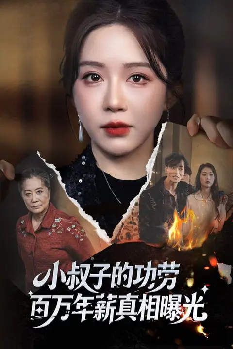 《小叔子的功劳百万年薪真相曝光(年薪被抢功)》封面