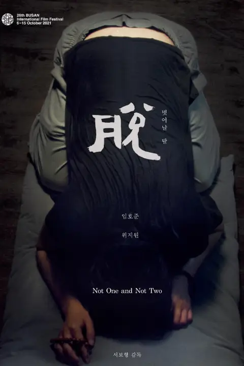 《不是一，也不是二》封面