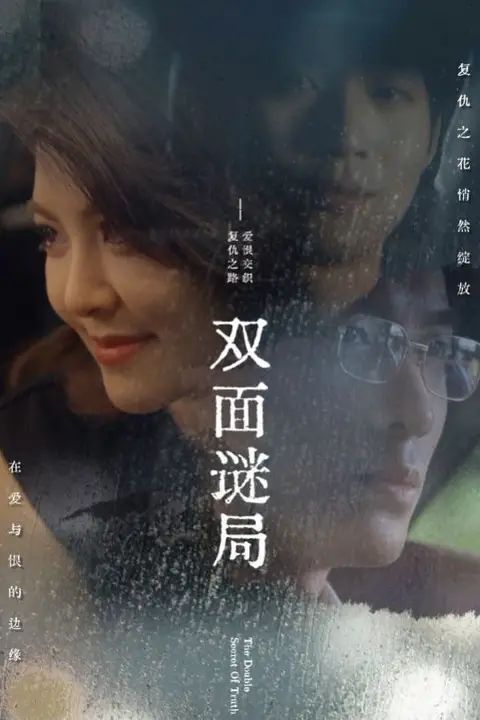 《双面谜局》封面