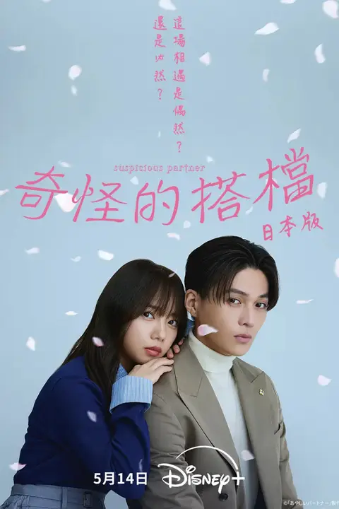 《奇怪的搭档》封面