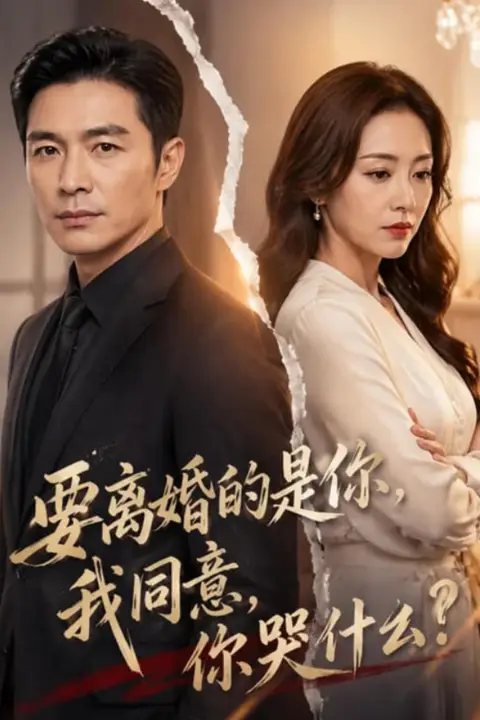 《要离婚的是你,我同意,你哭什么?》封面