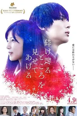 《破碎的瞬间》封面