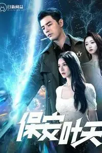 《保安叶天》封面