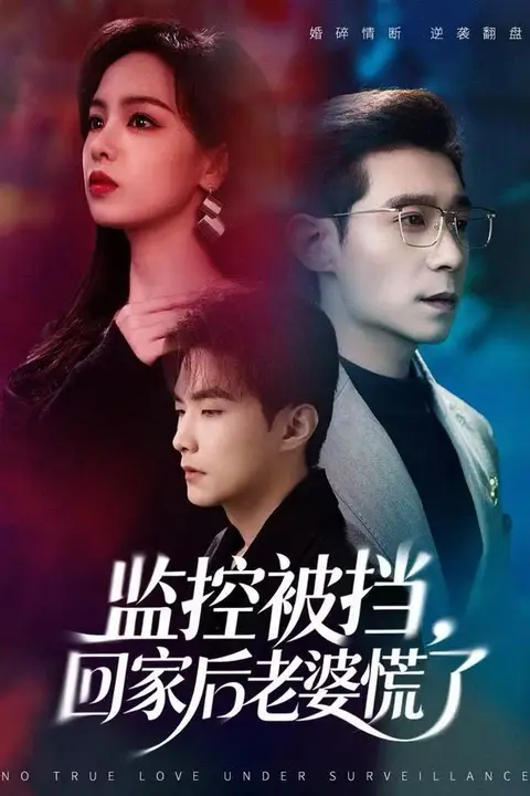 《监控被挡,回家后老婆慌了》封面