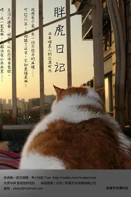 《胖虎日记》封面