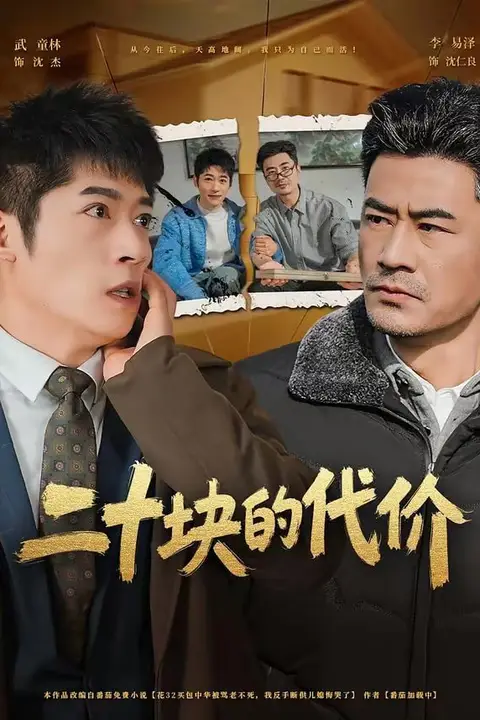 《二十块的代价》封面