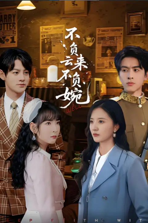 《不负云来不负婉》封面