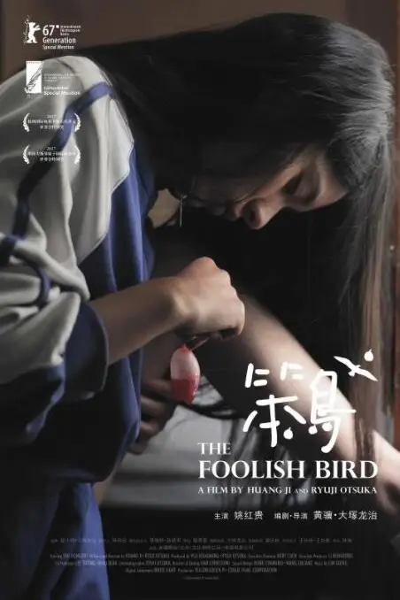 《笨鸟》封面