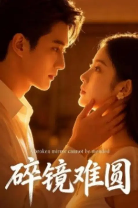 《碎镜难圆》封面