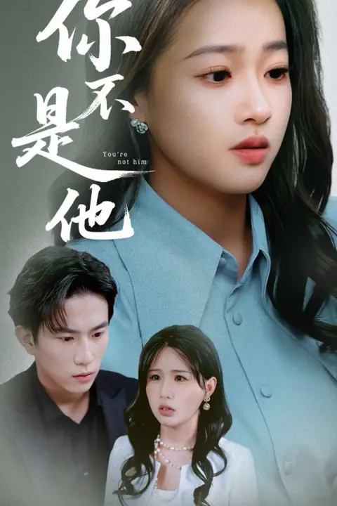《你不是他》封面