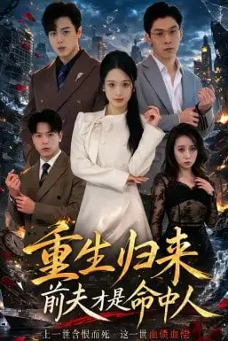 《重生归来：前夫才是命中人》封面