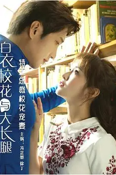 《特工总裁校花宠妻》封面