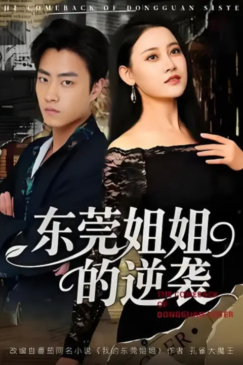《东莞姐姐的逆袭》封面