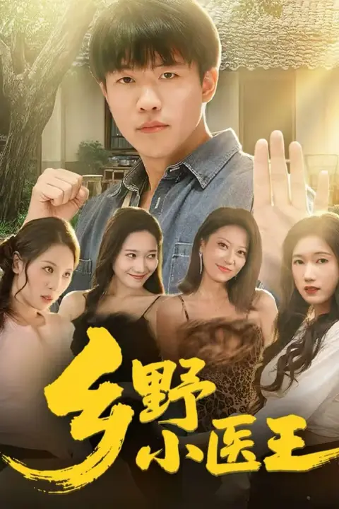 《乡野小医王》封面