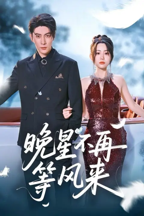 《晚星不再等风来》封面