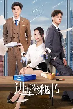 《进击的金秘书》封面