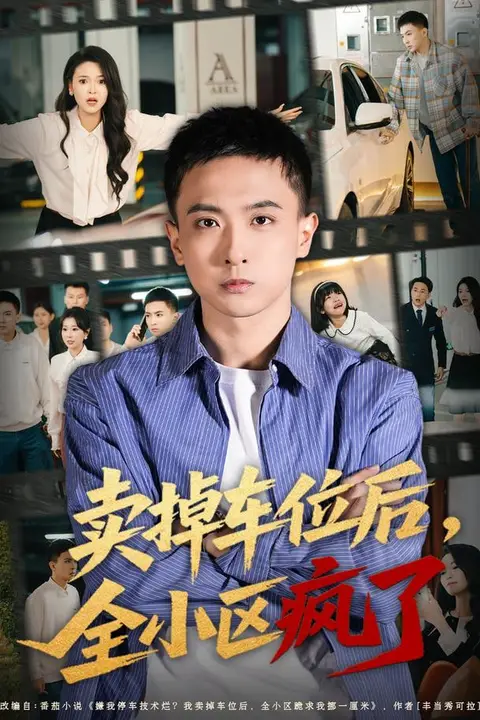 《卖掉车位后,全小区疯了》封面