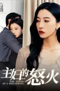 《主妇的怒火》封面