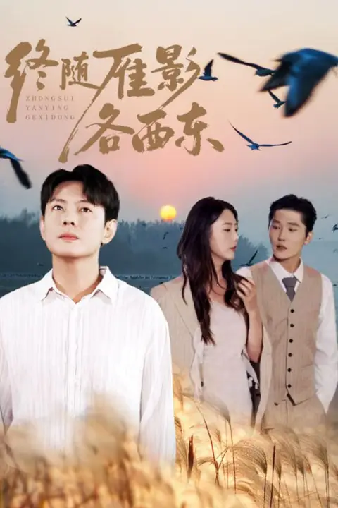《终随雁影各西东》封面