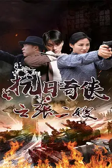 《抗日奇侠之张二嫂》封面