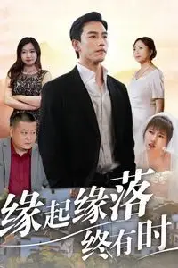《缘起缘落终有时》封面