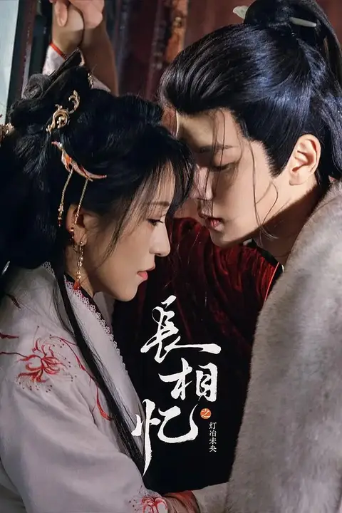 《长相忆之灯冶未央》封面
