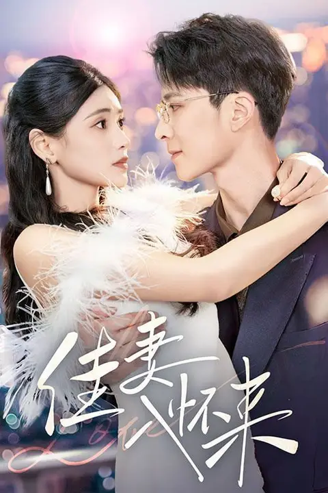 《佳妻入怀来》封面