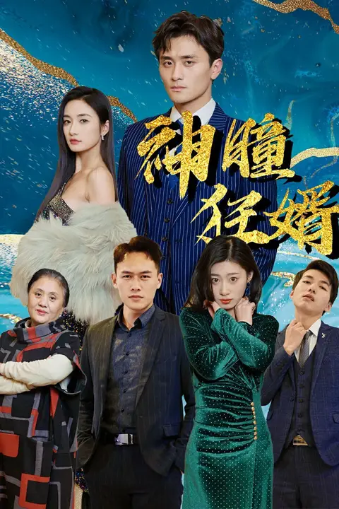 《神瞳狂婿》封面