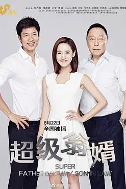 《超级翁婿》封面
