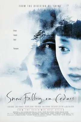 《落在香杉树的雪花》封面