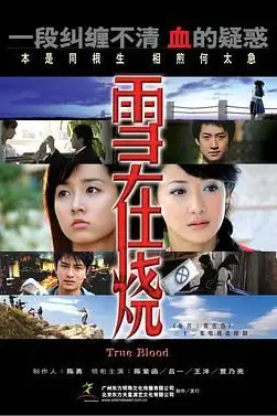 《雪在烧 2007》封面