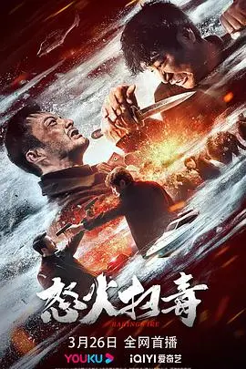 《怒火扫毒》封面