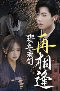 《那年我们再相逢》封面