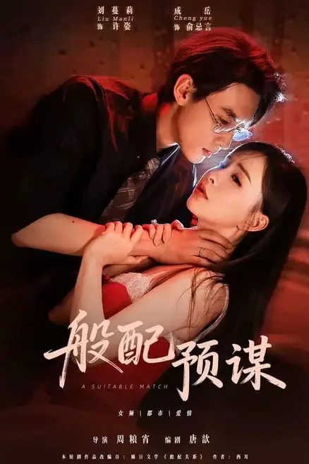 《般配预谋》封面