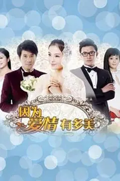 《因为爱情有多美》封面